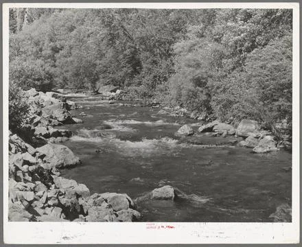 Mountain stream, the Logan River. Cache County, Utah 1940. still image. Ph... Stock Photos