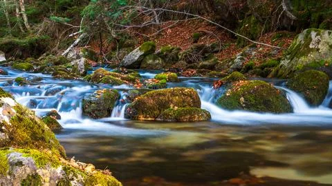 Mountain stream long exposure silky water over mossy rocks Stock Photos