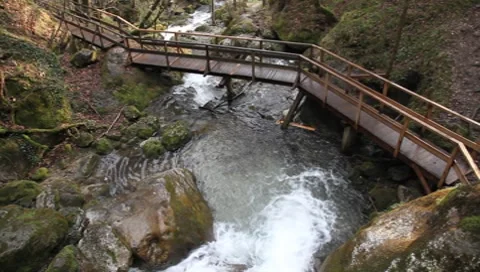 Mountain stream in Lower Austria Vídeos de archivo 8658624