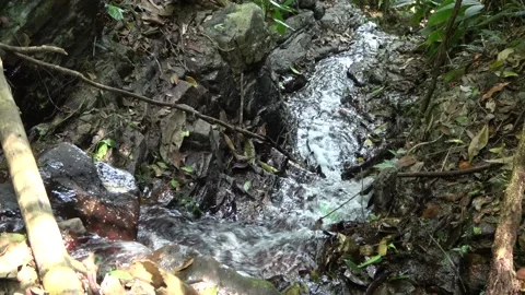 Mountain stream, Malaysia Stock Footage 135716986