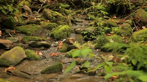 Mountain stream, medium, dolly left Stockbeeldmateriaal 8677116