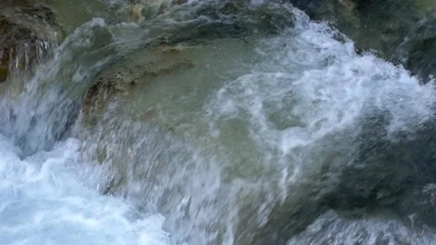 Mountain stream. Medium environment. Fresh flowing water. Stock Footage 165857622