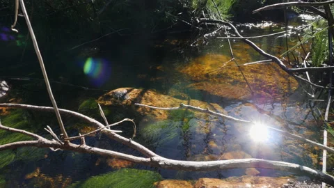 Mountain stream medium reflection 스톡 동영상 134768574