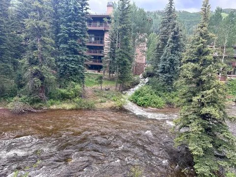 A mountain stream merging with a river, surrounded by tall evergreen trees. Stock Photos