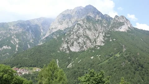 Mountain stream in the middle of the forest uncontaminated nature Stock Footage 312142299