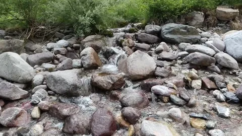 Mountain stream in the middle of the forest uncontaminated nature Stock Footage 312227210