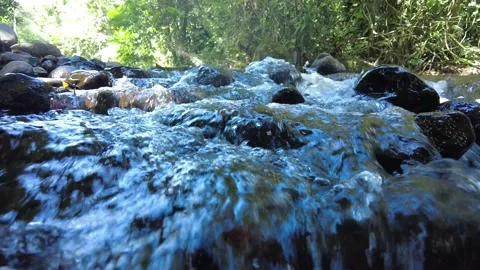 Mountain stream in the middle of the Jungle in Costa Rica (January 2022) Stock Footage 168209722