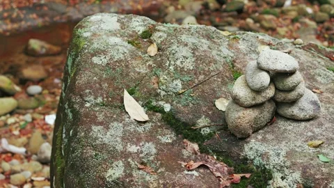 Mountain stream, moss-covered rocks, flowing river water Stock Footage 324903609