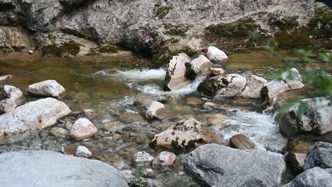 A mountain stream with mossy stones 스톡 동영상 219383136