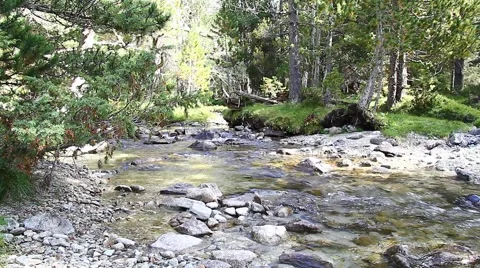 Mountain stream. Mountain River in the wood Stock Footage 40861330