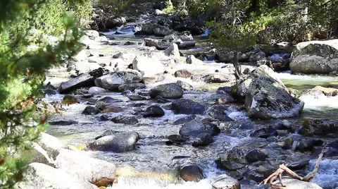 Mountain stream. Mountain River in the wood Stock Footage 40861612