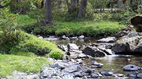 Mountain stream. Mountain River in the wood Stock Footage 40862221