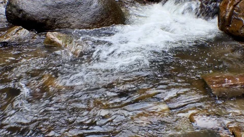 Mountain stream in the mountains 库存影片 117842821