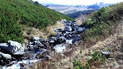 Mountain stream in the mountains. A mist rising from the valley in the distance. Stock Footage 112610693