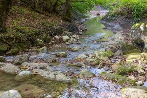 A mountain stream in a nature park, with a falling stream and carrying its wa Stock Photos