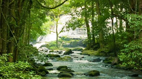 Mountain stream near a waterfall in the rainforest Video stock 40786590