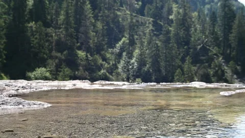 A mountain stream next to a waterfall in front of a forest Video stock 219633191