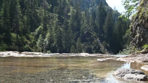 A mountain stream next to a waterfall in front of a forest Stock-Footage 219633340