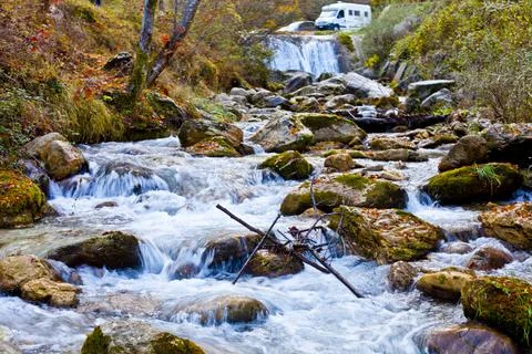 Mountain stream in old forest. Stock Photos