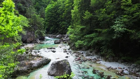 Mountain Stream. Orrido dello Slizza, Tarvisio, Friuli Venezia Giulia, Italy Stock Footage 312007559