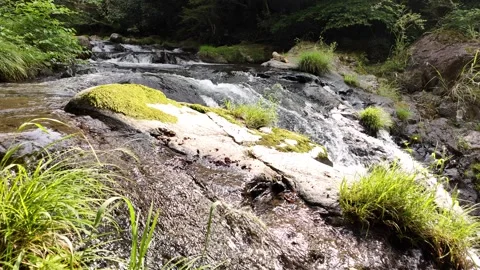 Mountain Stream over Broad Rock Slab with Grass, Izu, Japan (4K) Stock Footage 341364915