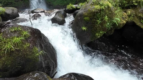 Mountain Stream over Mossy Boulders, Izu, Japan (4K) Stock Footage 341364820