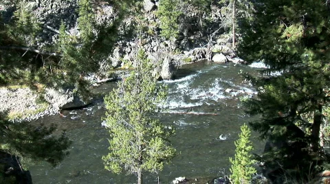 Mountain Stream-overhead-xws Stock-Footage 783442