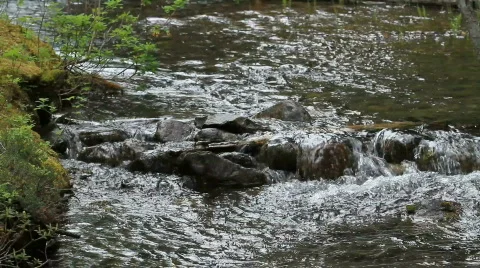 Mountain Stream P HD 1219 Stock Footage 855498
