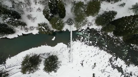 Mountain Stream Pahalgam Stock Footage 314618969