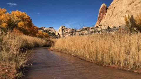 Mountain stream pan Stock Footage 100209855