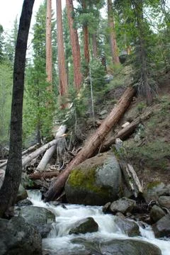 Mountain stream Stock Photos