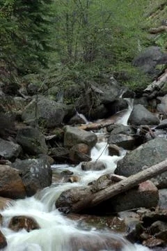 Mountain stream Stock Photos