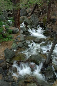 Mountain stream Stock Photos