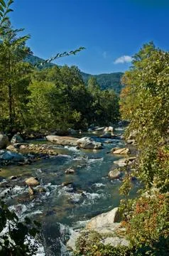 Mountain stream Stock Photos