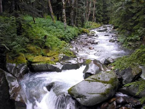Mountain Stream Stock Photos