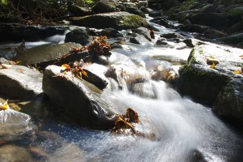 Mountain Stream Stock Photos