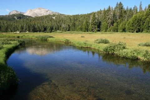 Mountain stream Stock Photos