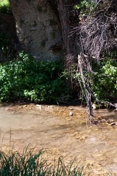 Mountain stream Stock Photos