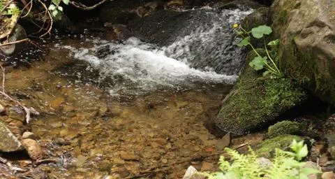 Mountain stream Stock Photos