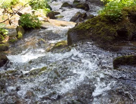 Mountain stream Stock Photos