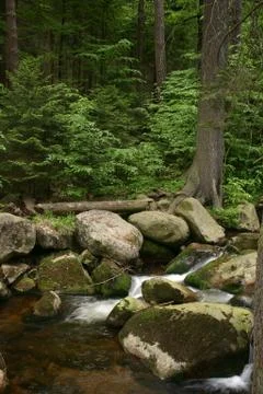 Mountain stream Stock Photos