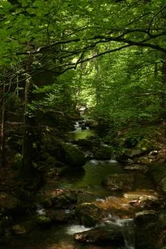Mountain stream Stock Photos