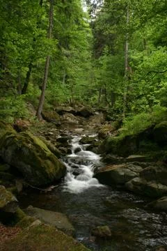 Mountain stream Stock Photos