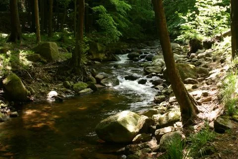 Mountain stream Stock Photos