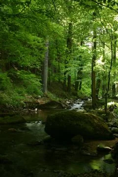 Mountain stream 스톡 사진