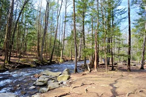 Mountain Stream 写真素材