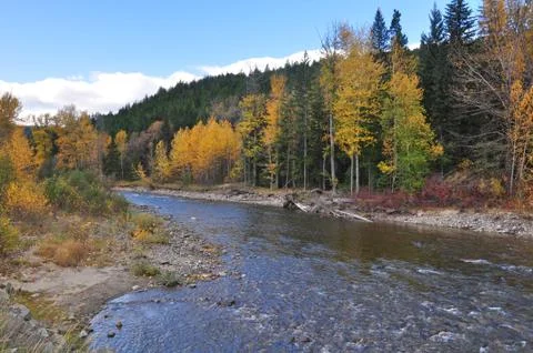 Mountain stream Stock Photos