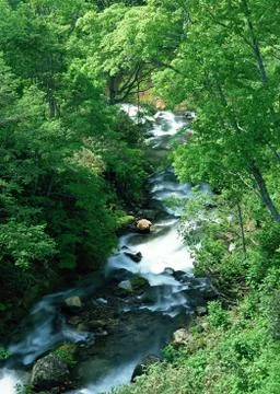 Mountain Stream Stock Photos