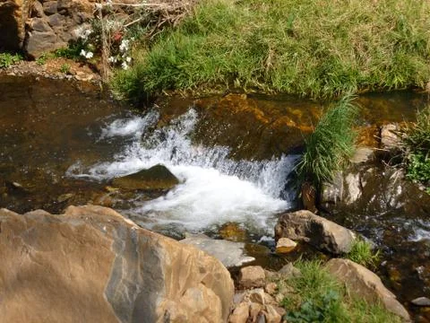 Mountain Stream Stock Photos