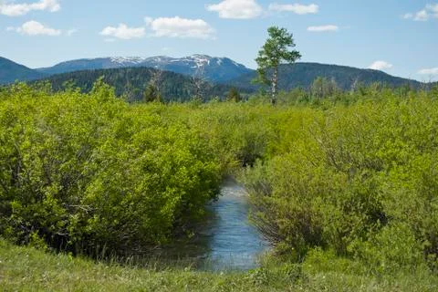 Mountain stream 스톡 사진